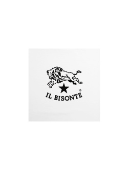 IL BISONTE イルビゾンテ【バイソaンロゴＴシャツ 54242305385】内面1