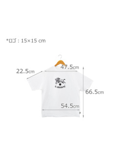 IL BISONTE イルビゾンテ【バイソンロゴＴシャツ 54242305385】サイズ